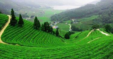 قوانین خرید زمین کشاورزی برای خارجیان در ترکیه