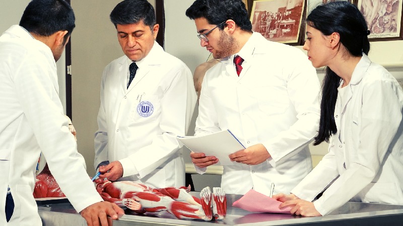تحصیل در رشته‌ی پزشکی در ترکیه