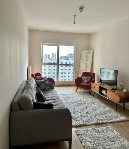 آپارتمان 1 خواب در استانبول اروپایی منطقه اسنیورت
